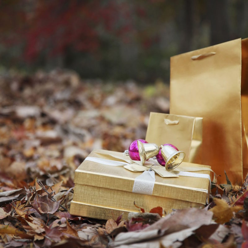 Top 5 Writing Gifts to Gift Yourself This Christmas