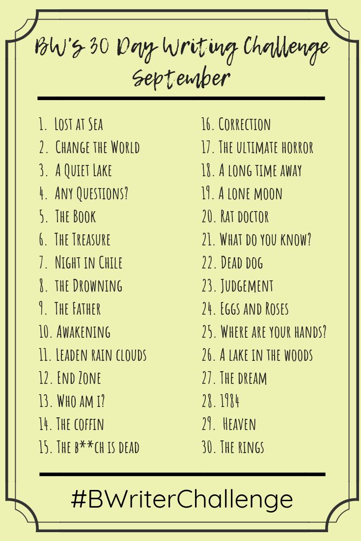 the 30 day book writing challenge